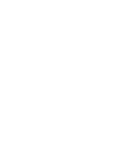 Directors' Institute Finland